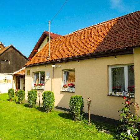 Rîşnov Casa Joyヴィラ エクステリア 写真