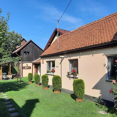 Rîşnov Casa Joyヴィラ エクステリア 写真