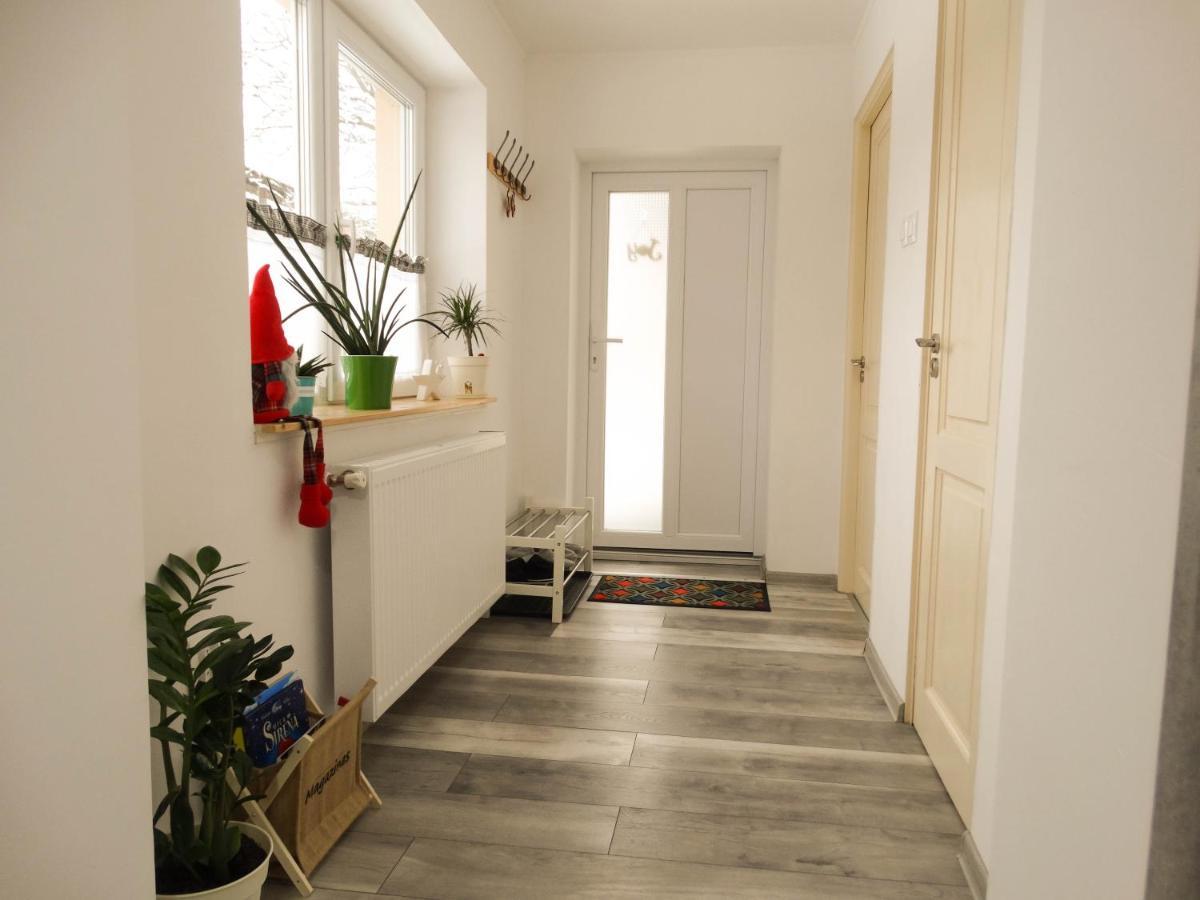 Rîşnov Casa Joyヴィラ エクステリア 写真