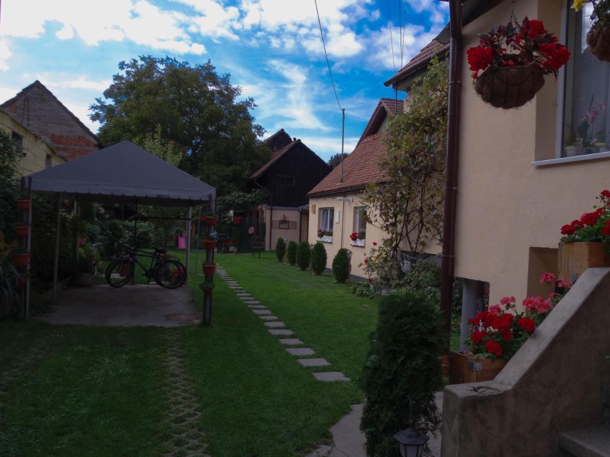 Rîşnov Casa Joyヴィラ エクステリア 写真