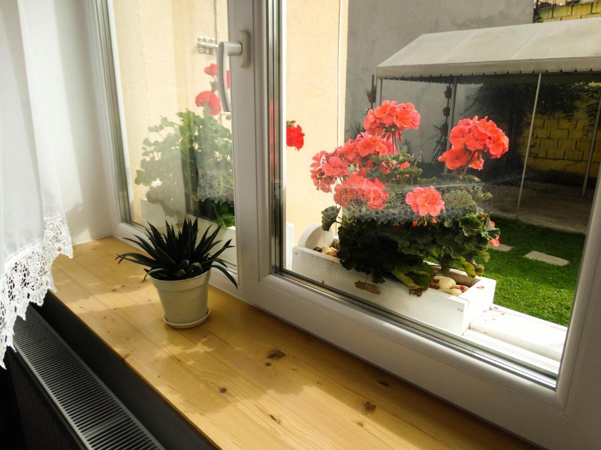 Rîşnov Casa Joyヴィラ エクステリア 写真