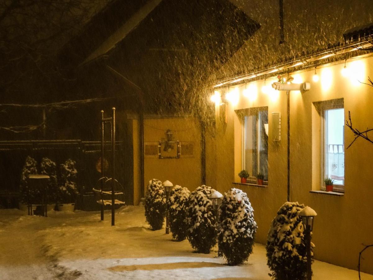 Rîşnov Casa Joyヴィラ エクステリア 写真