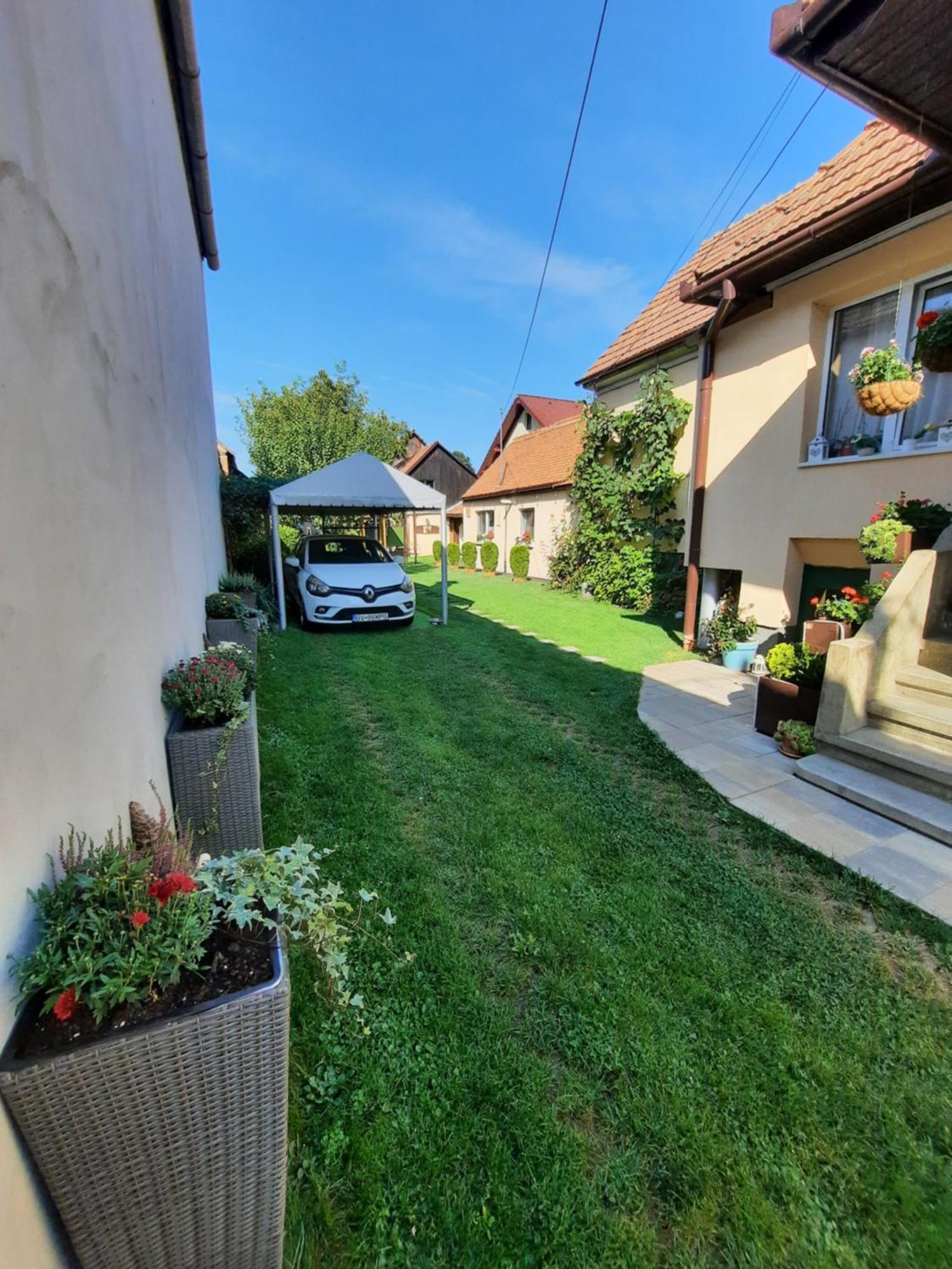 Rîşnov Casa Joyヴィラ エクステリア 写真