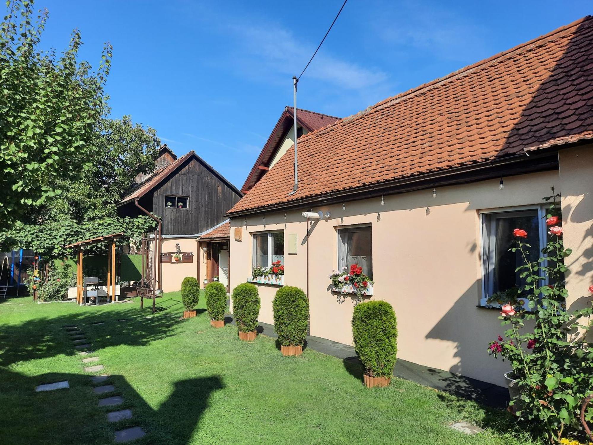 Rîşnov Casa Joyヴィラ エクステリア 写真
