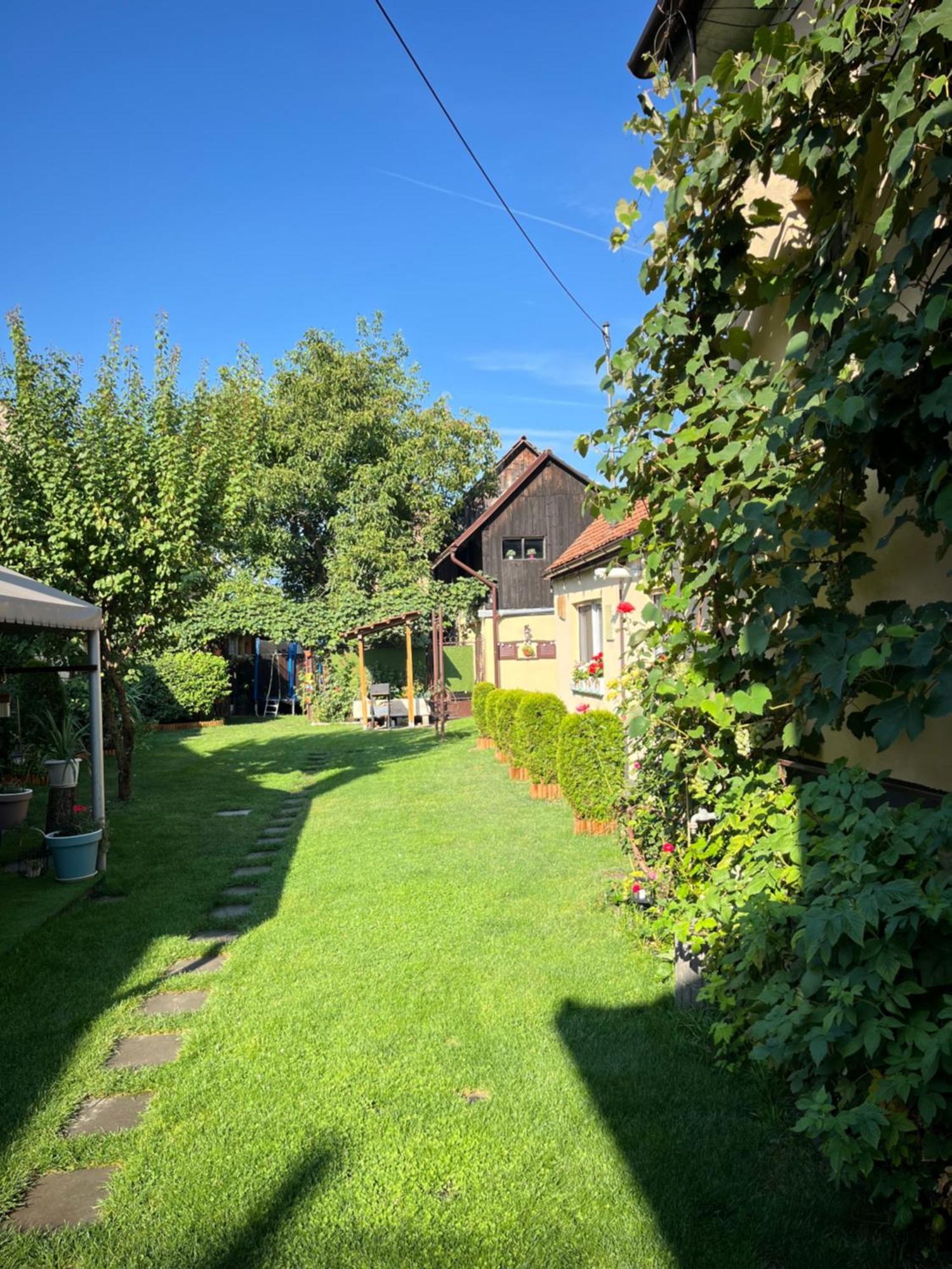 Rîşnov Casa Joyヴィラ エクステリア 写真